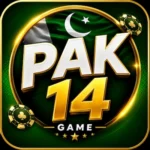 PAK14 Game Logo image