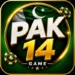 PAK14 Game Logo image
